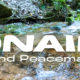 ONAIR Sound Peacemaker