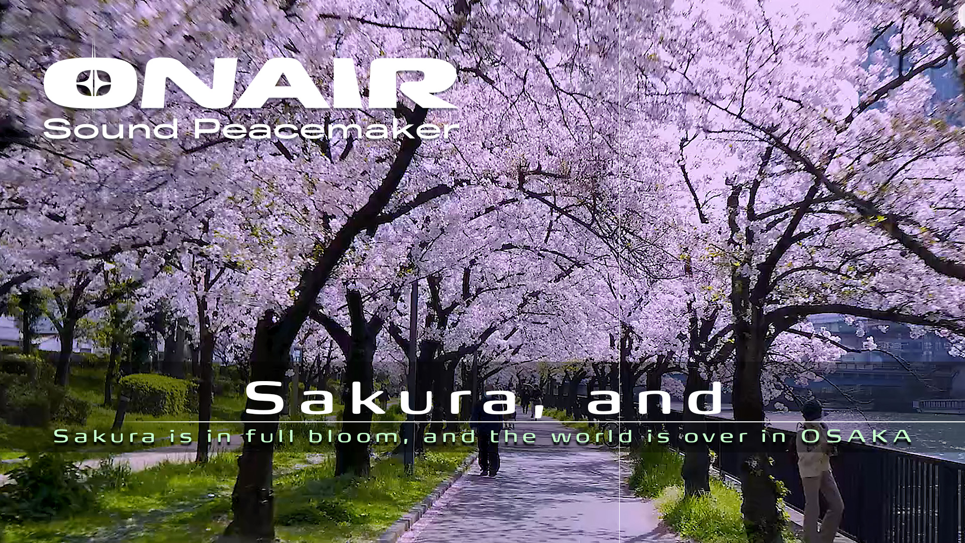 【ONAIR】Sakura, and the world is over サクラ、そして夜明け 春の桜ノ宮 大阪 ONAIR Sound Portrait
